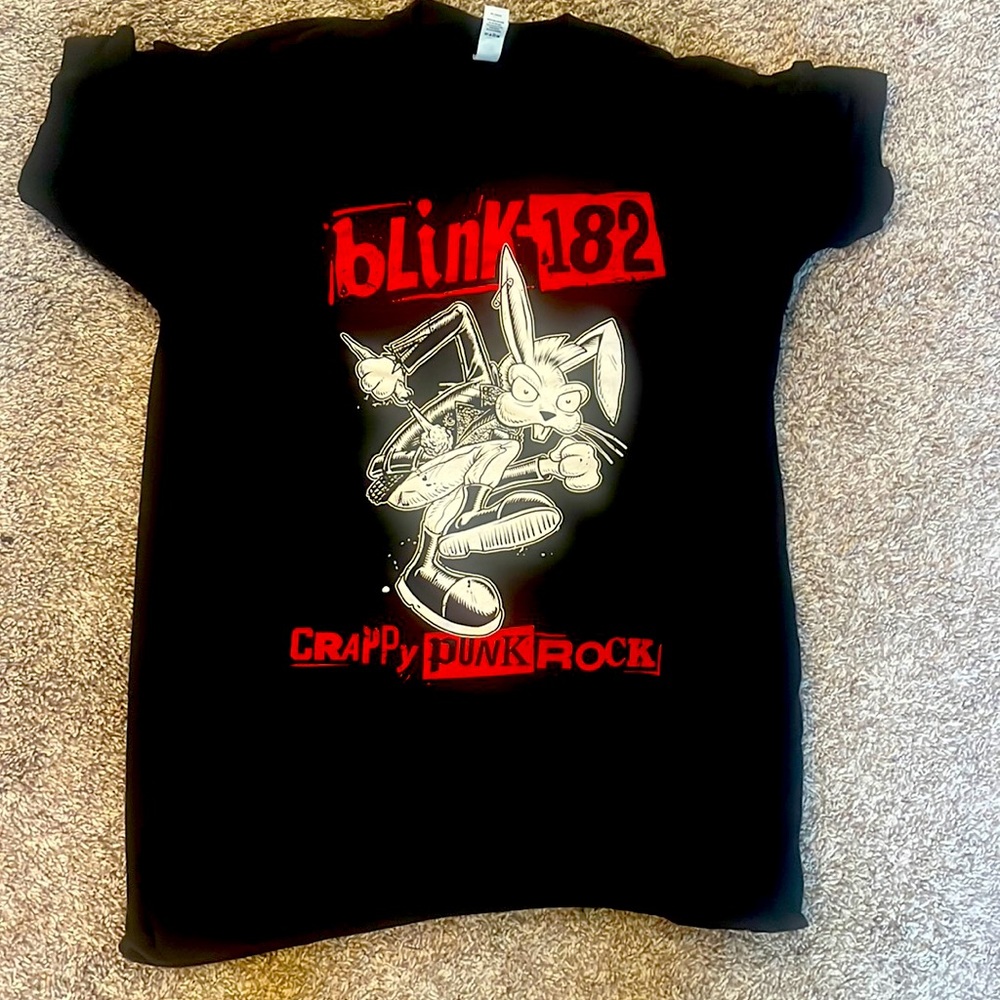Blink 182 concert tour tshirt